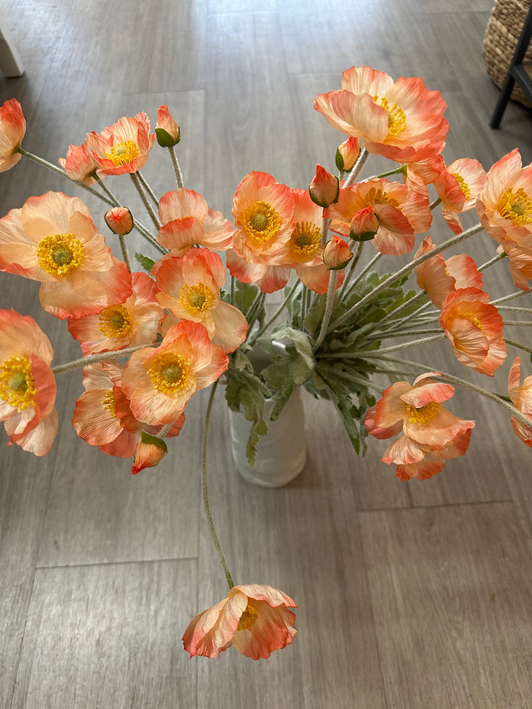ROGUE POPPY BUNCH ORANGE
