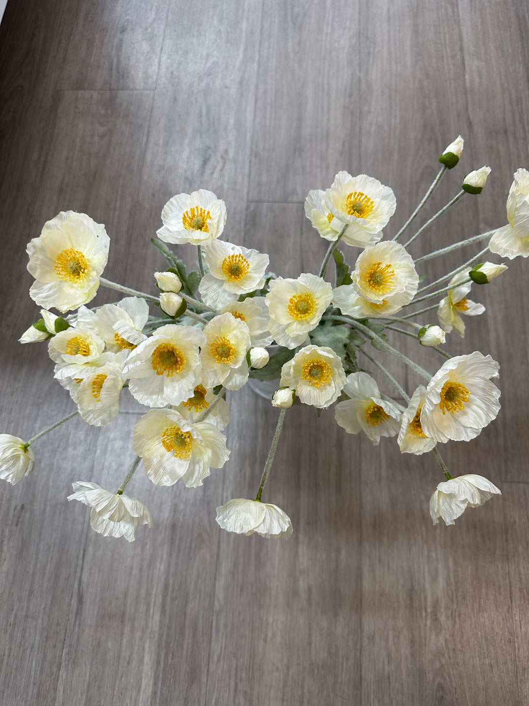 ROGUE POPPY BUNCH CREAM