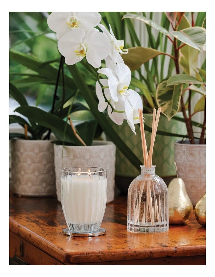 PEPPERMINT GROVE CANDLE 370G LEMONGRASS & LIME